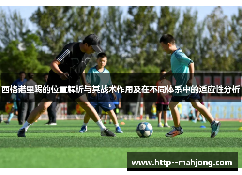 西格诺里踢的位置解析与其战术作用及在不同体系中的适应性分析